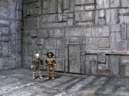 Rechlen and Aves' Room