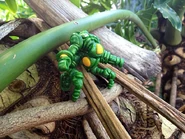 Argen9-plants1.png (730 KB) Claw Stalker