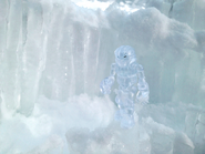 Ice-Walker-7-WEB