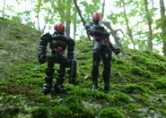 Cousins-3.png (876 KB) Warriors in the Woods