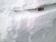 February-SNEAK-4.png (1.03 MB) Ice cliff