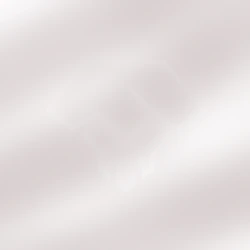 Stealth-Division-Logo