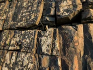 Progeny Youtube video