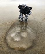 "This alternate Strayline version of the entity that would become Argen now walks a different path, though it does share a natural curiosity common between each reality."[15]