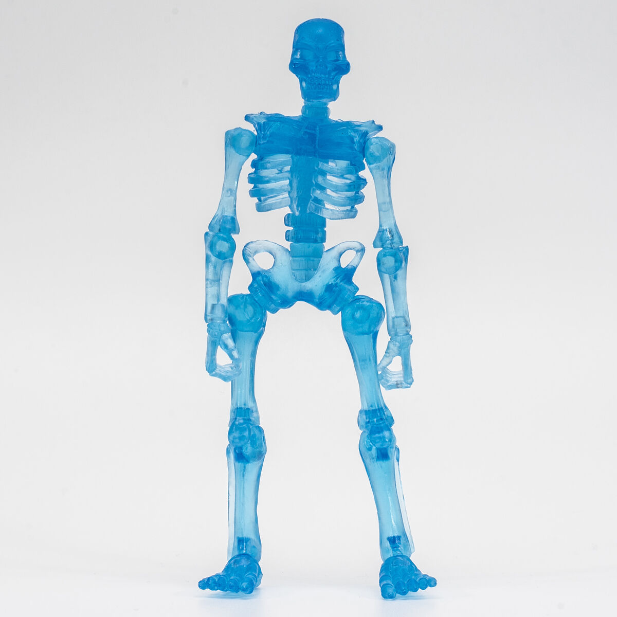 Cute Fashion Design Mr. Bones Pose Skeleton Model with Dog Table Desk -  Supply Epic