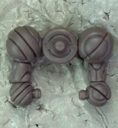 Axisdarkwarmgraymk1.jpg (64 KB)