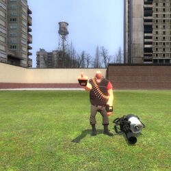 Garry's Mod - Wikipedia