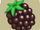 Q-Blackberry.png