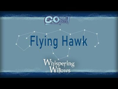 Go_All_Out!_Fighter_Showcase-_Flying_Hawk_(Whispering_Willows)