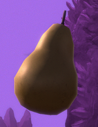 Pear