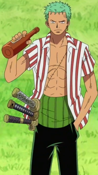 Zoro, School Daze Wiki