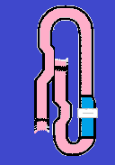 Layout of Rainbow Track and Rainbow Downhill Area 1