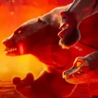 Bear in team magma