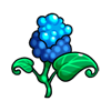 Blueberry Flower