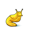 Banana Slug BP