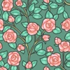 Peach Rose Wall