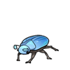 Blue June Beetle