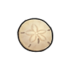 Sand Dollar