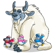 January - Yeti