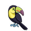 Toucan BP