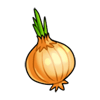Onion