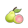 Guava