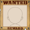 Wanted Poster Veil