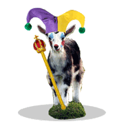 Jestling12 Silly Face