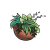 Coconut Planter