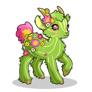 Desert Bloomling