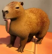 Capybara