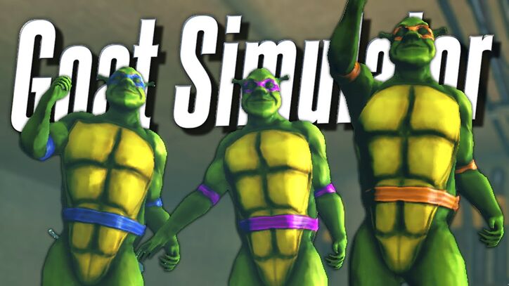 Michealbayturtle.jpg