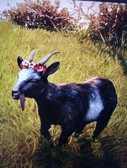Flower Crown
