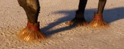 Brushy Hooves