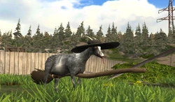 Witch Goat