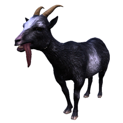 Goat - Official Goat Simulator Wiki