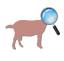 Magnified Goat Icon.png
