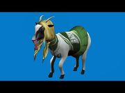 Cheer Goat.jpg