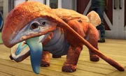 Lizard Doggo