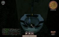 MMO Trophy 20 Old Goat Toilet