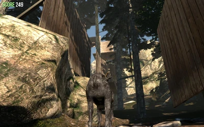 Parkour Obstacle Course