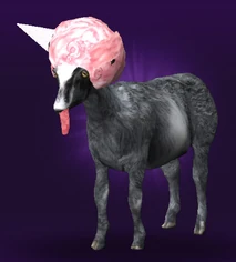 Sugar Cloud Goat