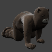 Bear