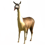 Spitting goat.png