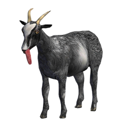 Goat - Official Goat Simulator Wiki Goat - Official Goat Simulator Wiki