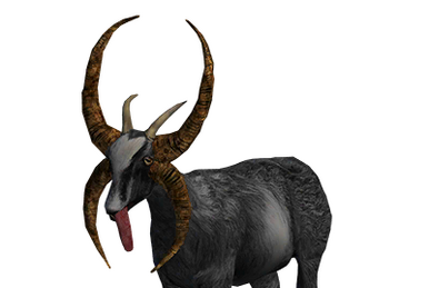 San Angora - Official Goat Simulator Wiki