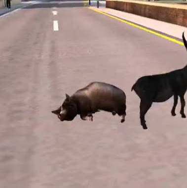 Pig - Official Goat Simulator Wiki