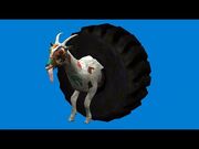 Artsy goat.jpg