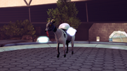Tether Goat