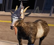 Tinfoil Hat